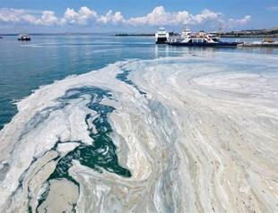 Mucilage in Marmara Sea continues to pose threat, study shows