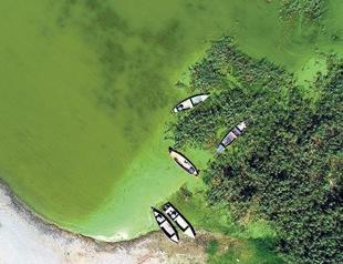 Alarm bells ringing for protected lake in Turkey’s northwest