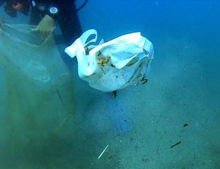 Face masks add to sea pollution at popular resort
