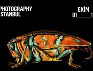 212 Photography Istanbul across the city