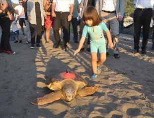 Turkey adopts new measures to protect endangered sea turtles