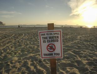 California oil spill kills fish, damages wetlands