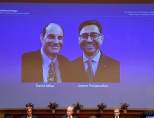 Nobel Prize honors discovery of temperature, touch receptors
