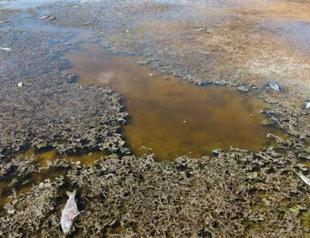 Lake that once source of life now faces drought