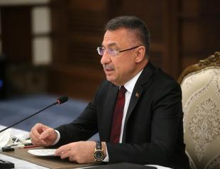 Turkey taking steps for green economy: Vice president