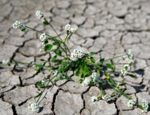 Turkey to gather council in 2022 to fight negative effects of climate change
