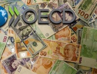 High energy, food prices: OECD area inflation at 4.3% in August