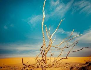 UN chief says he expects Turkey to present climate plan soon