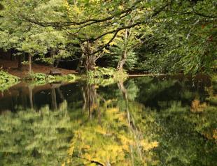 Yedigöller welcomes season of romance with all colors of nature