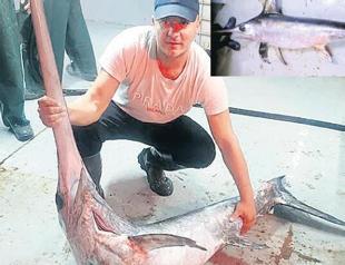 Swordfish caught in Istanbul Strait after 50 years