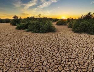 Parliament prepares guide for Ankara’s climate policy