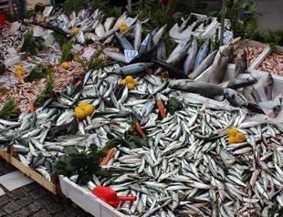 No problem with consuming fish despite mucilage: Official