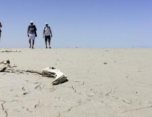 Lake Tuz may be on brink of extinction in years: Academic