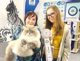 Cat named Lova wins intl contest held in Istanbul