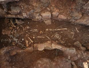 Tomb structures in Gölyazı open to tourism