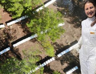 Engineer quits job to become beekeeper