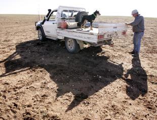 World faces growing threat of unbearable heatwaves