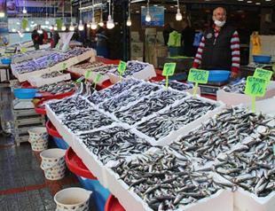 Overfishing leads to scarcity of bonito in fish markets