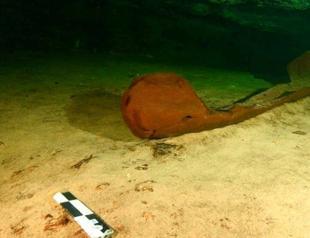 Archaeologists in Mexico find 1,000-year-old Mayan canoe