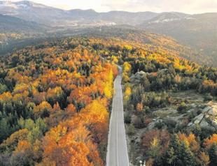 Forestland around Mount Uludağ under threat: Study