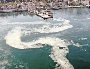 No new mucilage formation in Marmara Sea, expert says