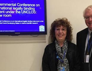 Academic re-elected as UN International Law Commission member