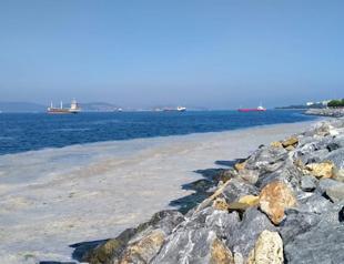 Marmara Sea’s mucilage problem will be over in three years: Minister