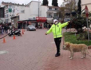 Turkish traffic cop, stray dog become best friends