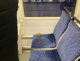 Istanbul’s local dog framed over poop on train
