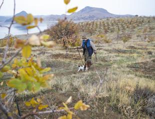 Turkish Robinson lives on dam lake island
