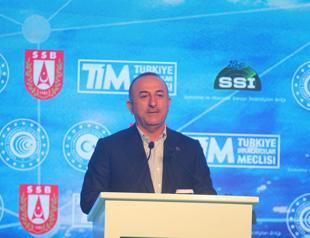 NATO, EU states interested in export of Turkish drones: Foreign minister