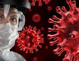 Pandemic mystery: Scientists focus on COVID’s animal origin