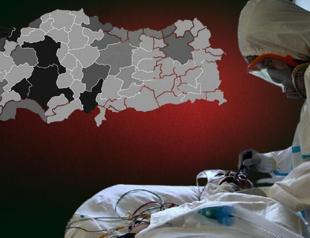 Virus cases remain steady, says minister