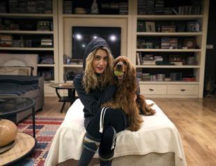 Iranian animal lovers decry plan to ban pets