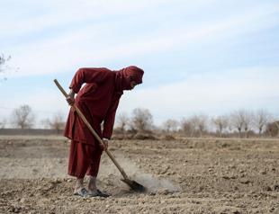 World Bank says donors approve release of $280 mln for Afghanistan