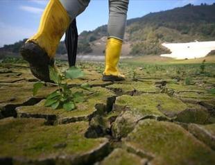 Turkey ramps up efforts to reach 2053 climate goal