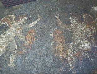 Illegal excavations unearth Roman villa