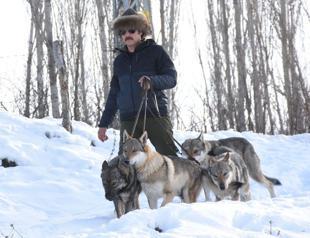 Man tours streets with rare ‘wolf-looking dogs’