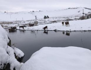 Horse-drawn sleighs arouse interest in Turkey’s east