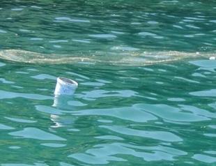 Solid waste threatens marine biome in Black Sea