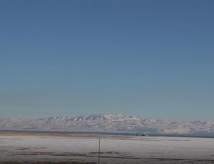 Shelter of flamingos declared as ‘special protected site’