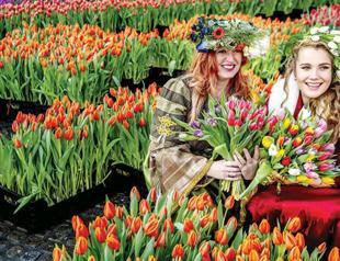 Growers hand out free flowers in Amsterdam