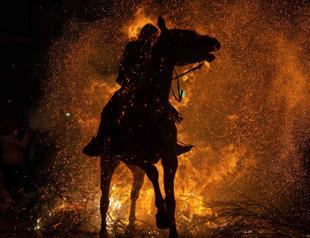 Spanish horses brave fire to fight virus