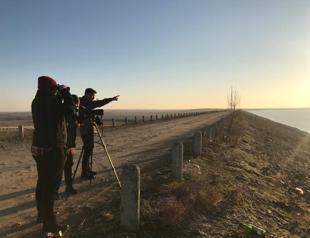 40,000 birds live in Meriç Delta: Officials