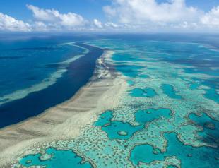 Australia pumps cash into Great Barrier Reef protection