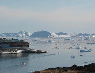 Turkey’s green development revolution initiative offers huge opportunities: Official