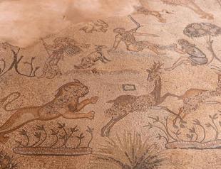 Bulldozers unearth Roman-era tomb in Gaza City