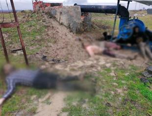 Bodies of migrants pushed back by Greece recovered at border: Minister