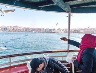 Istanbul home to 13 seagull species seen in Turkey: Expert