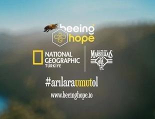 NFT collection aims to save endangered bees in Turkey